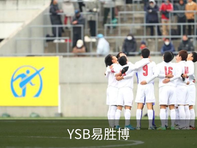 YSB易胜博简介